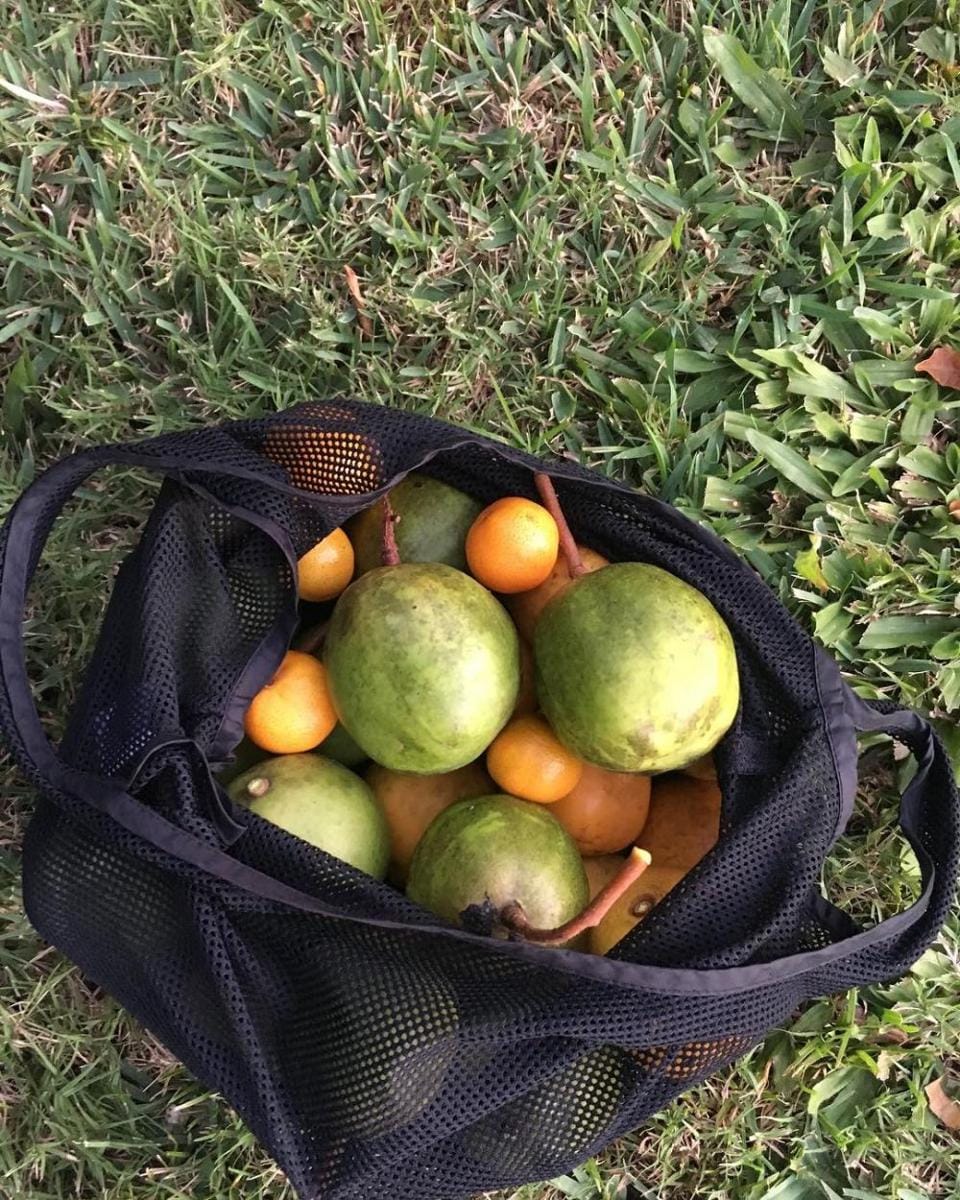 instagram.com/madmealss/