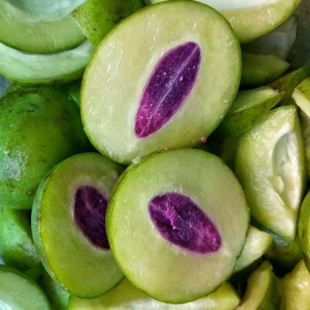 instagram.com/mynalaka/