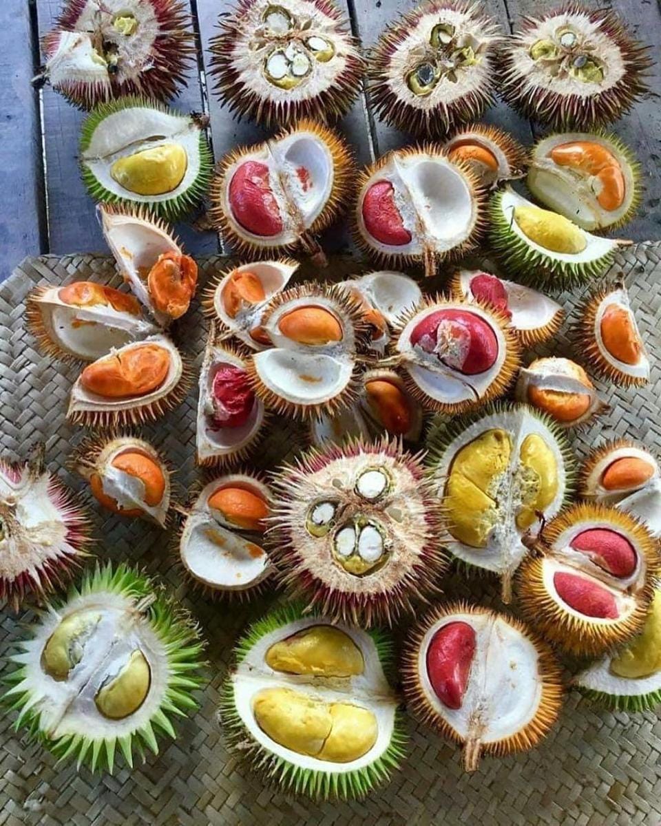 instagram.com/indoflashlight/