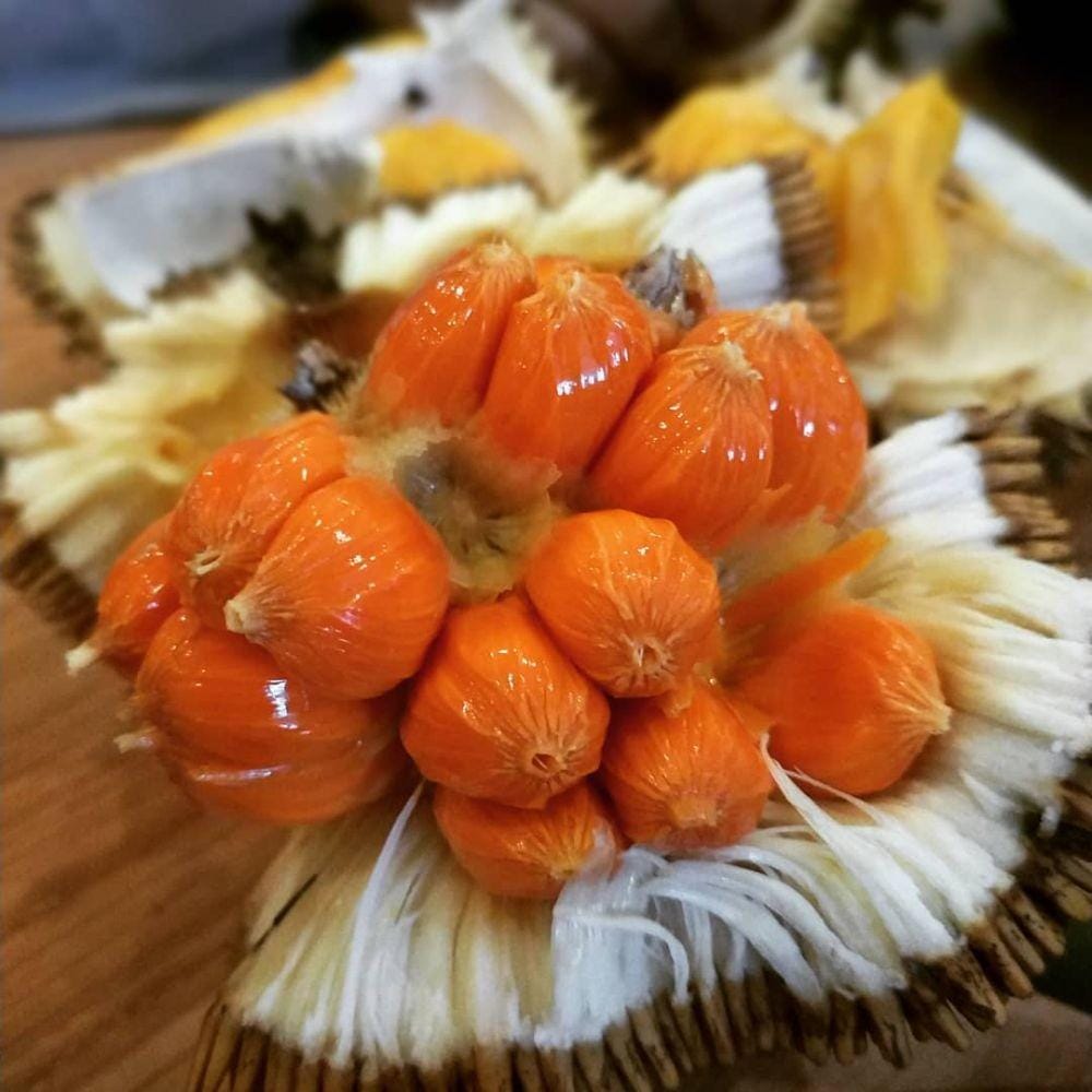 instagram.com/tearans/