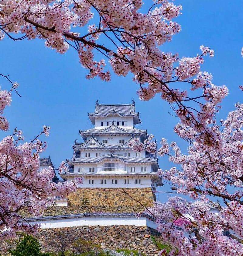 instagram.com/gmama_momox