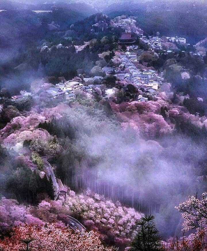 instagram.com/japantravelphoto