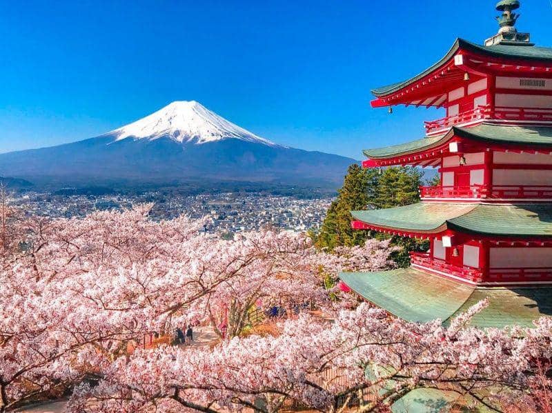Selain Tokyo, Ini 6 Spot Favorit untuk Hanami di Jepang