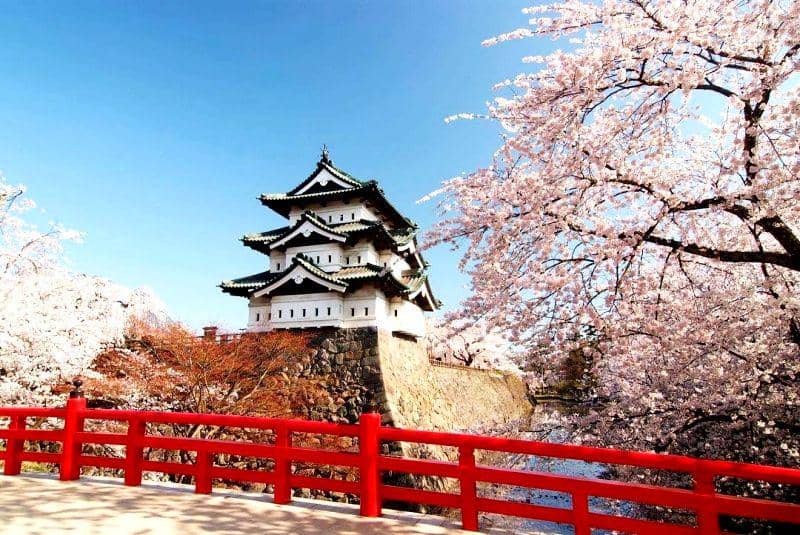 instagram.com/voyapon