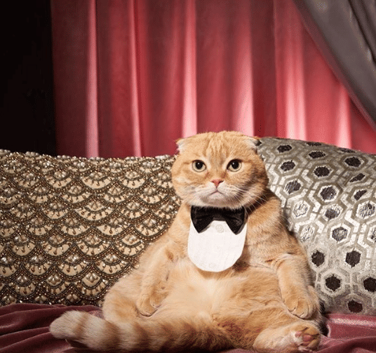 instagram.com/shrampton