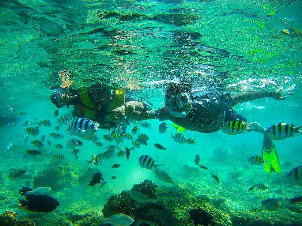 instagram.com/wildanwills/