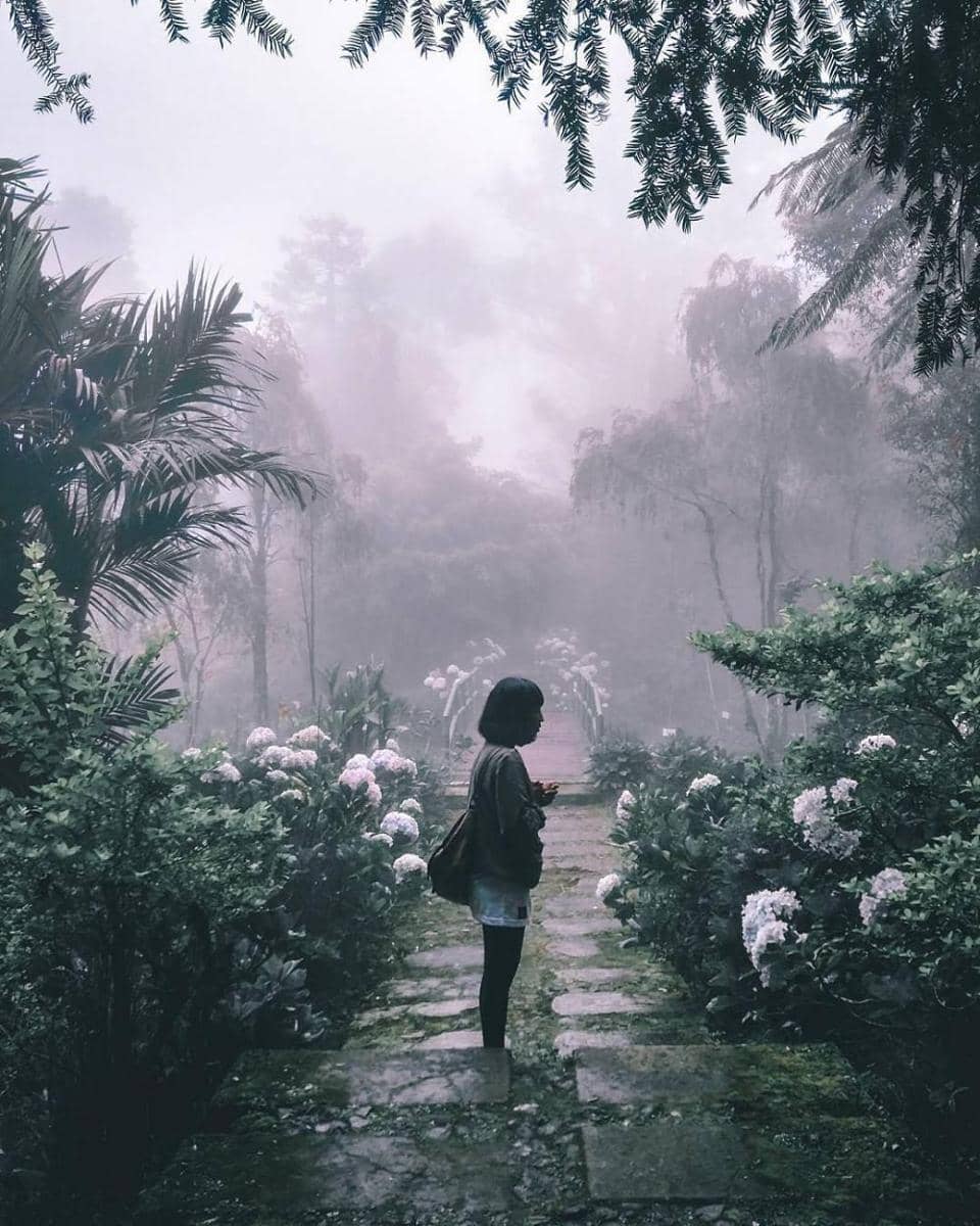 instagram.com/tria.a.n