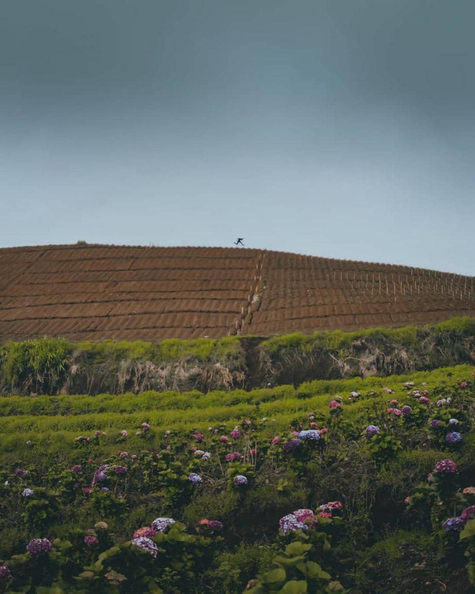 instagram.com/mifanbima