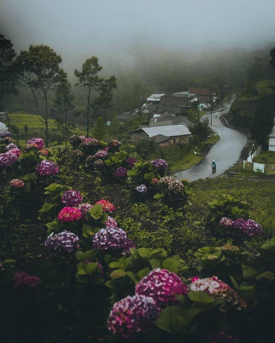 instagram.com/mifanbima