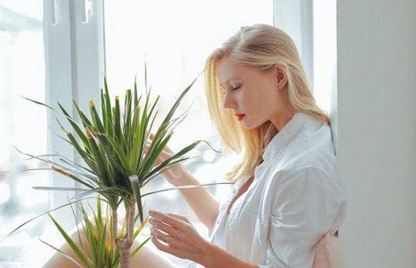 pexels.com/Daria Shevtsova