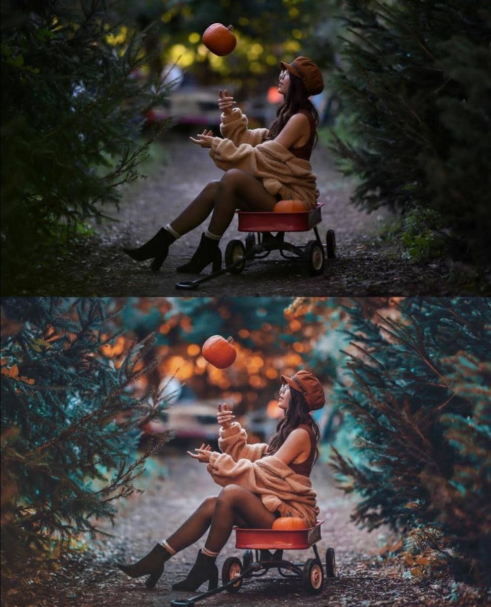 Instagram.com/bran.wolf