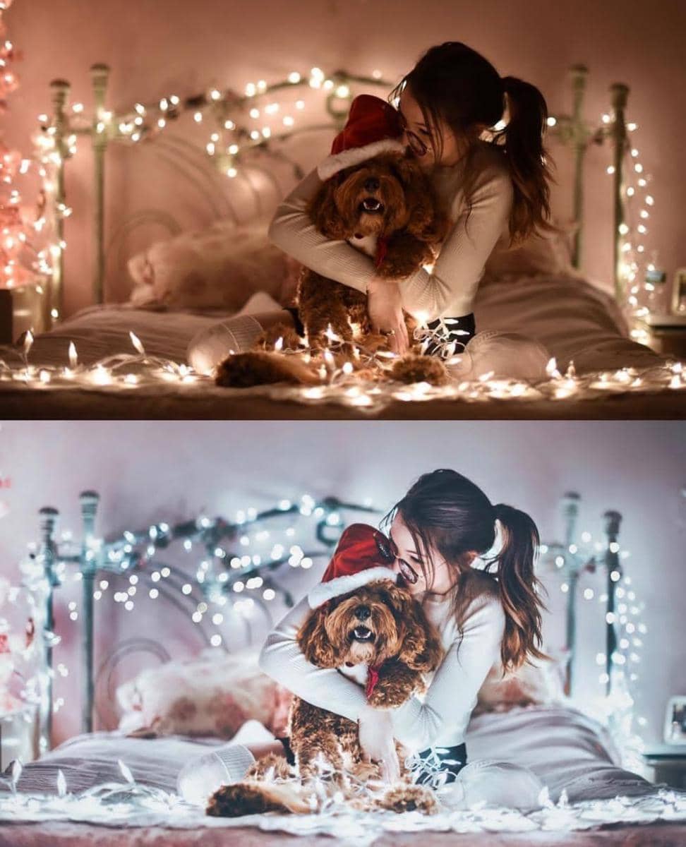 Instagram.com/bran.wolf