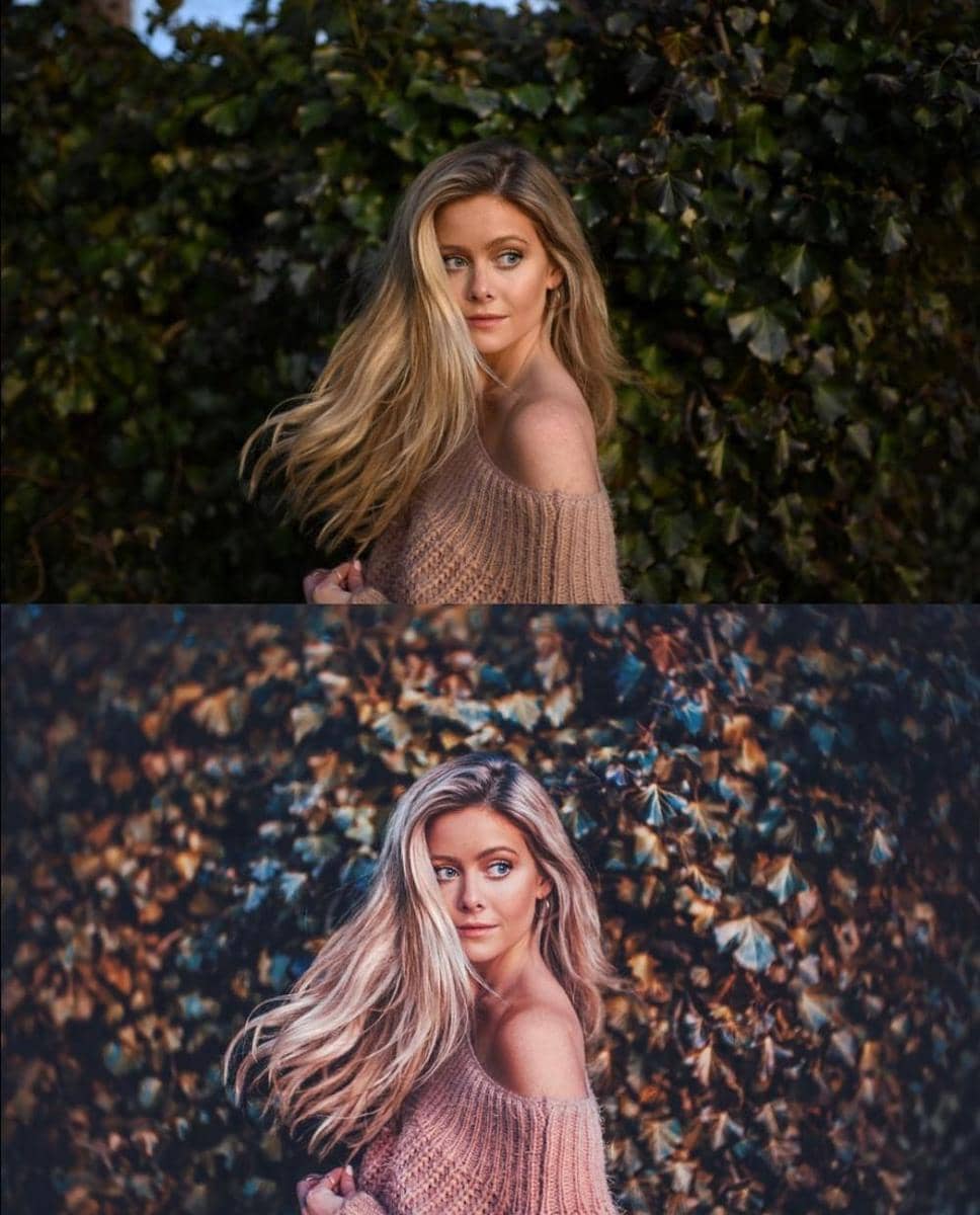 Instagram.com/bran.wolf