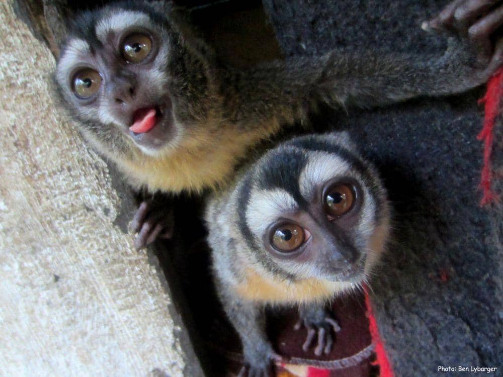 fieldprojects_org/Ben Lybarger