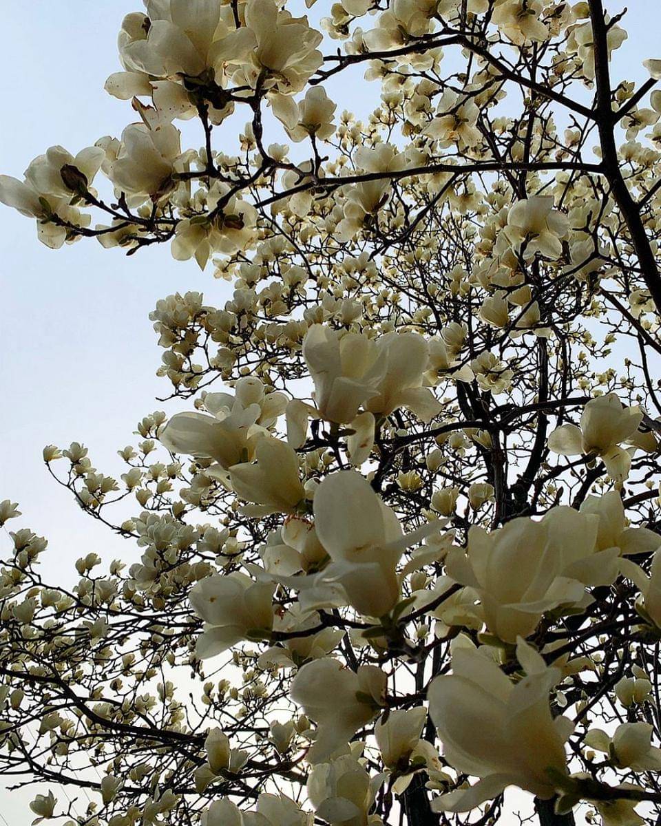 Instagram/rain_y_blue