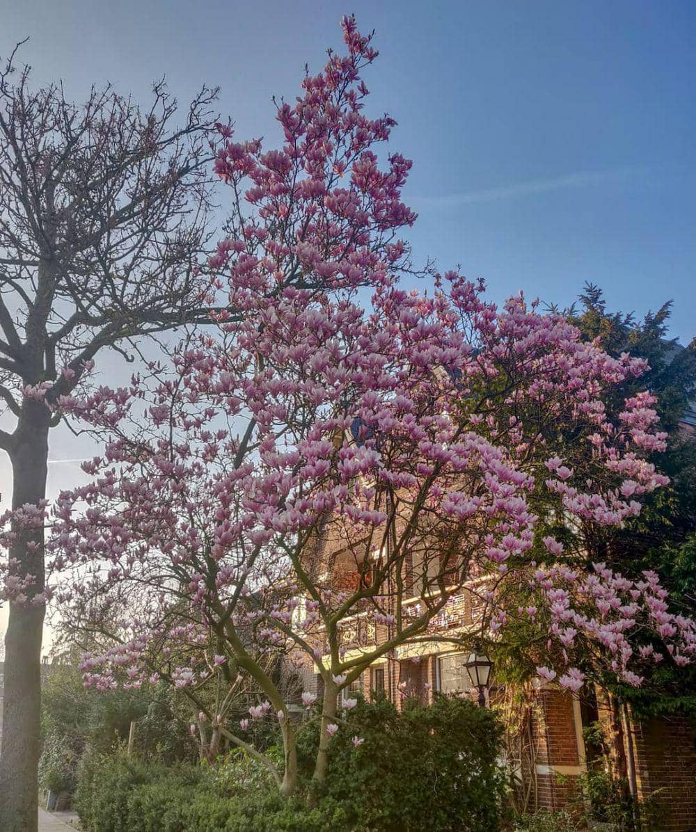 Instagram/togetherintransit