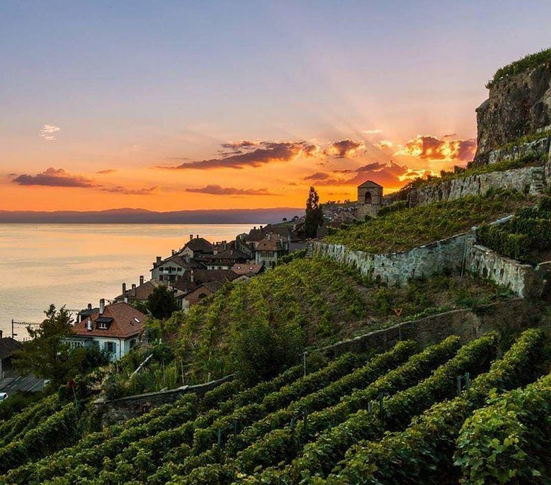 instagram.com/winemoments