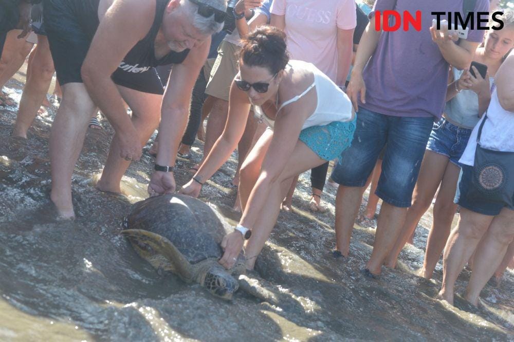 IDN Times/Imam Rosidin