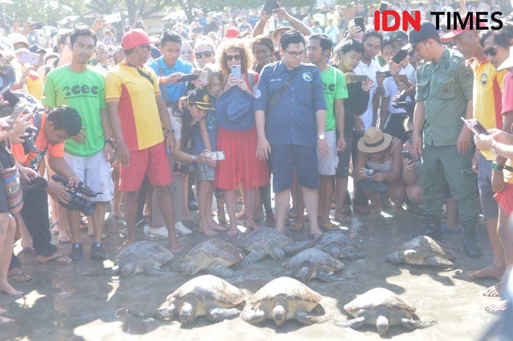 IDN Times/Imam Rosidin