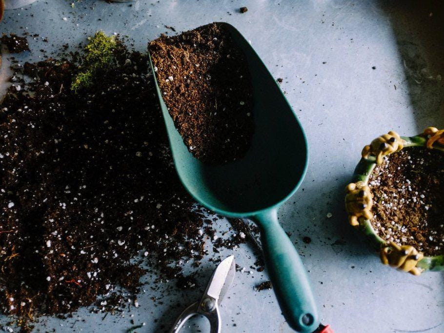 unsplash.com/neslihangunaydin