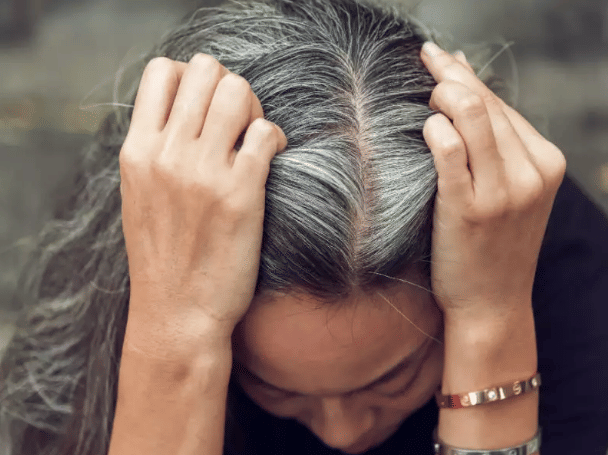 timesofindia.indiatimes.com