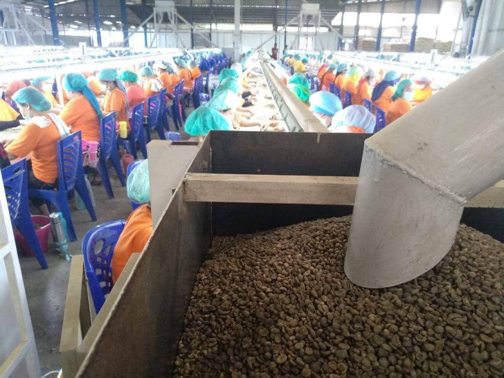 IDN Times/Fadli Syahputra