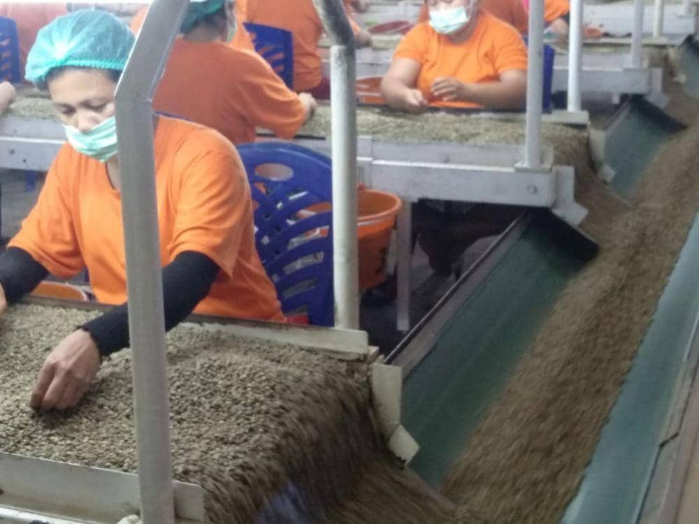 IDN Times/Fadli Syahputra