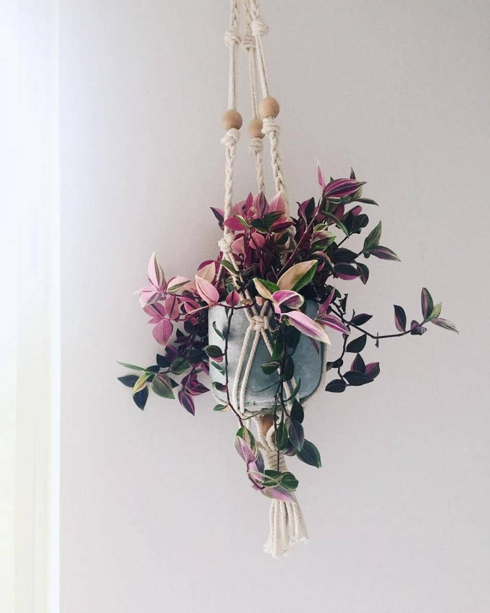 instagram.com/littleandlush