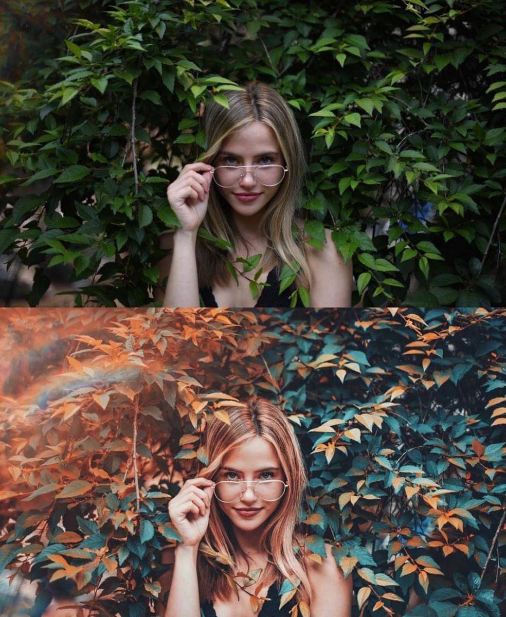 Instagram.com/bran.wolf