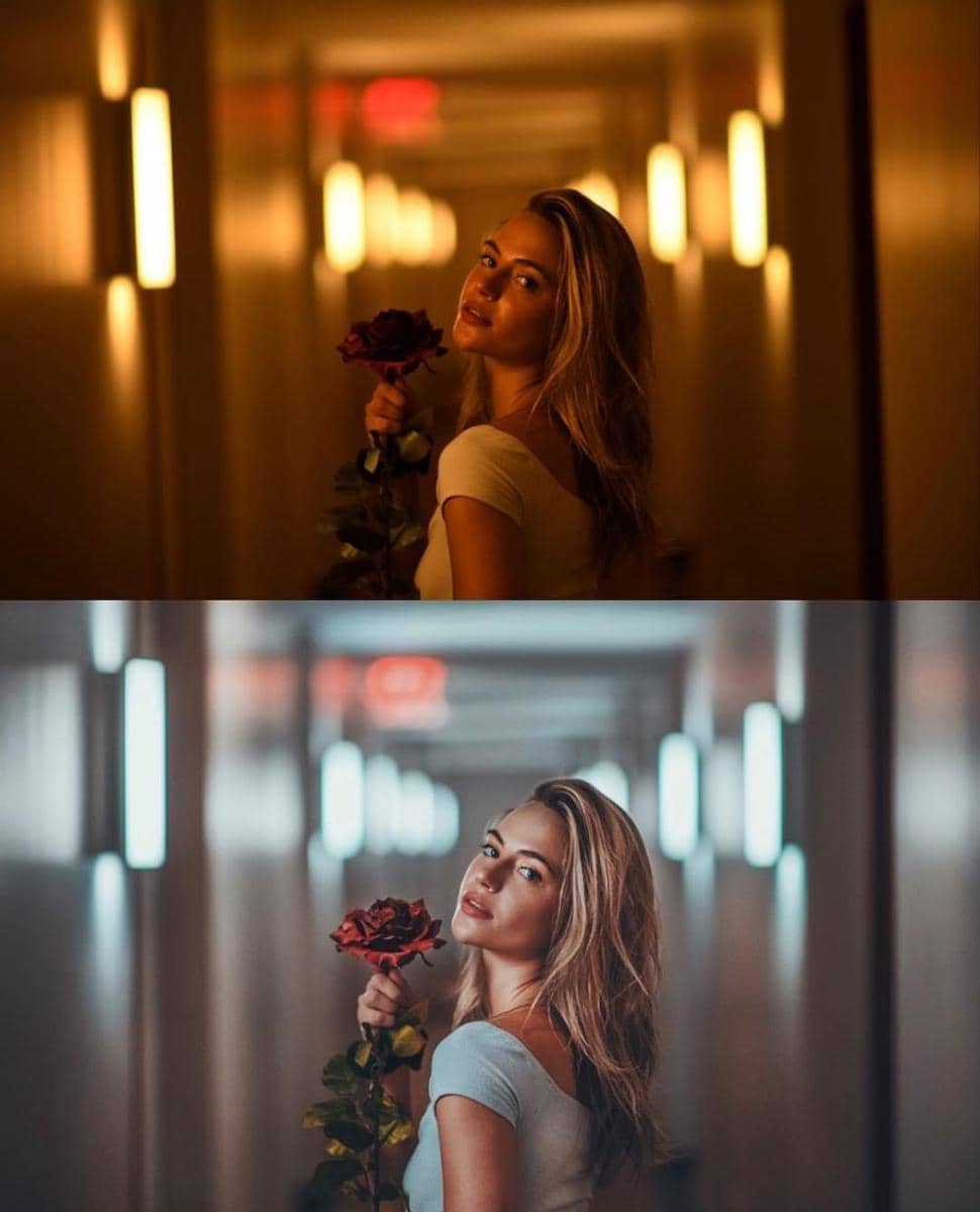 Instagram.com/bran.wolf