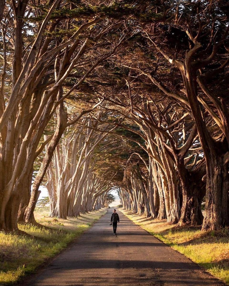 instagram.com/zachnicholz