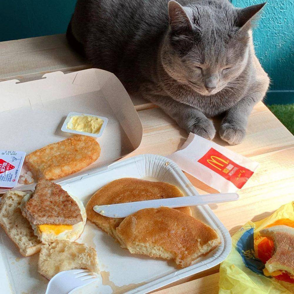 instagram.com/picnic453/