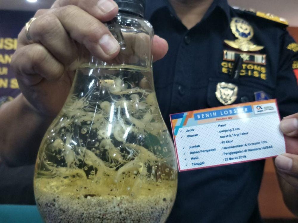 IDN Times/Yogi Pasha