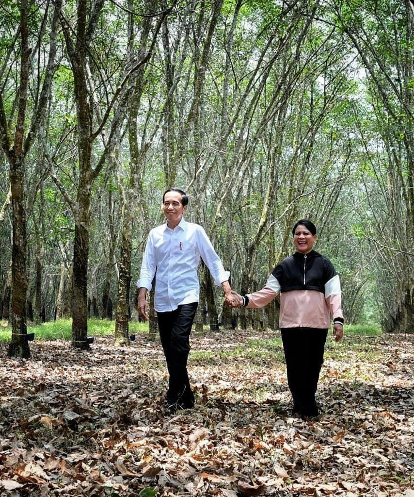 instagram.com/jokowi