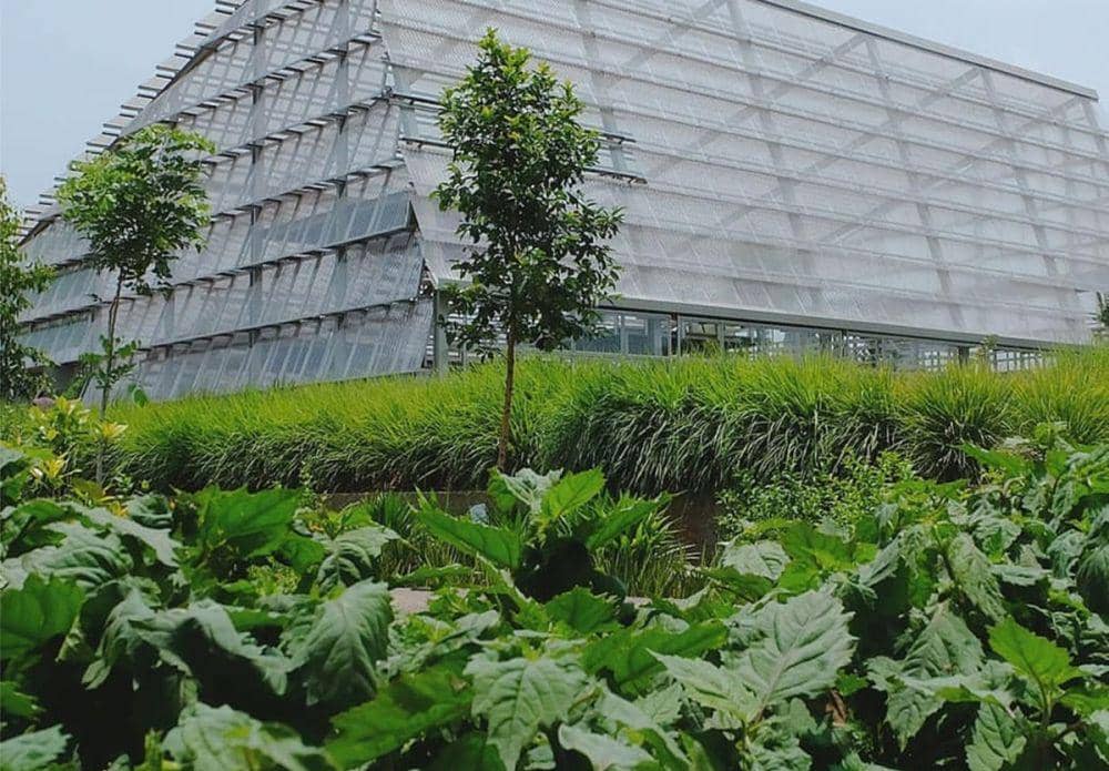 Dok. Ganug Nugroho Adi