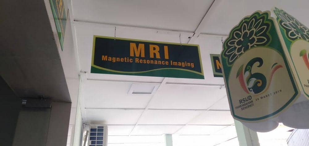 IDN Times/Daruwaskita