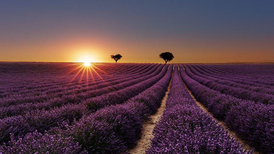 Instagram.com/sabah_saleem