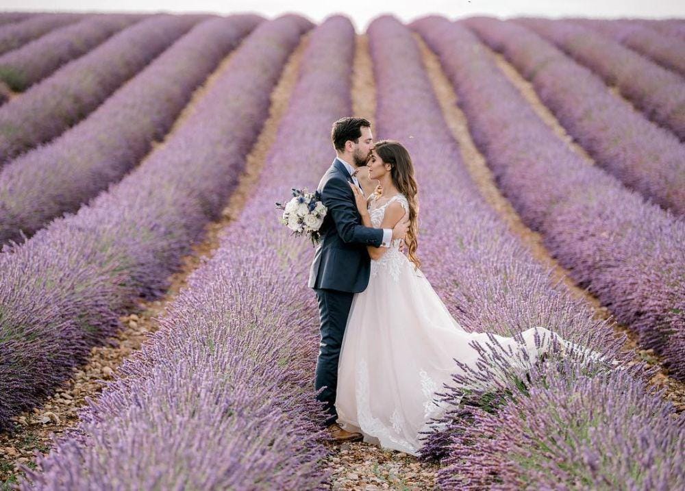 Instagram.com/janiellabrasov.brocia