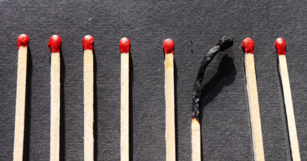 Pixabay.com/Peter Kraayvanger, diedit di Canva