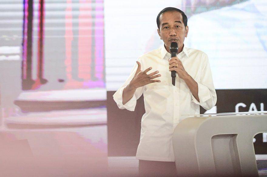 ANTARA FOTO/Hafidz Mubarak A