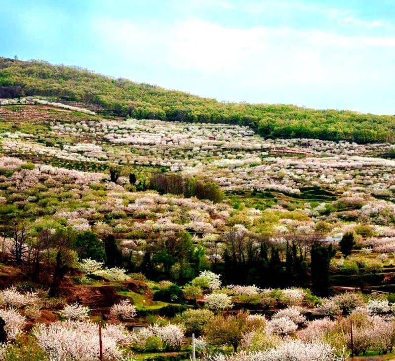 instagram.com/lidyae