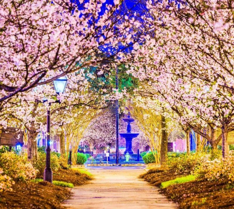 instagram.com/expedia