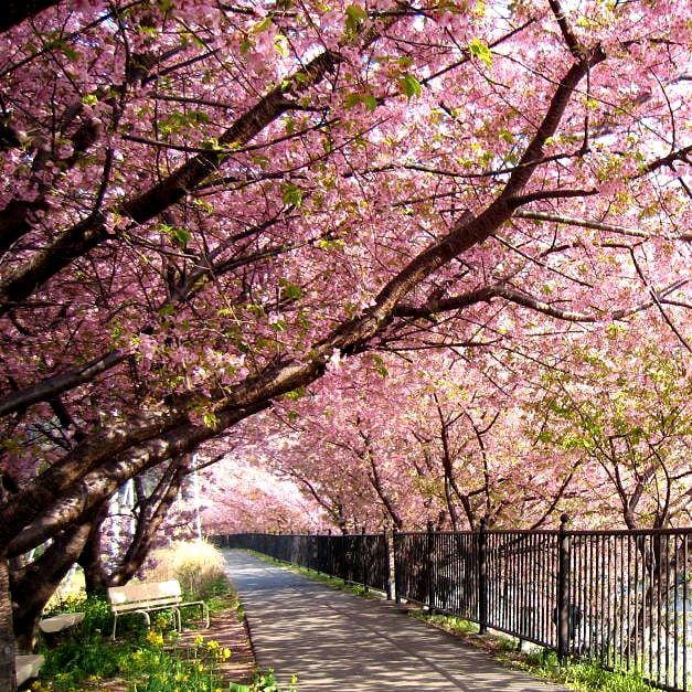 instagram.com/indonesia_arhipelago