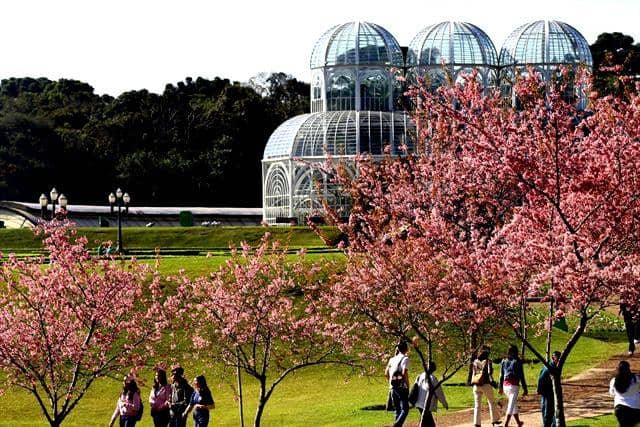 cantinhodereflexaodanice.wordpress.com