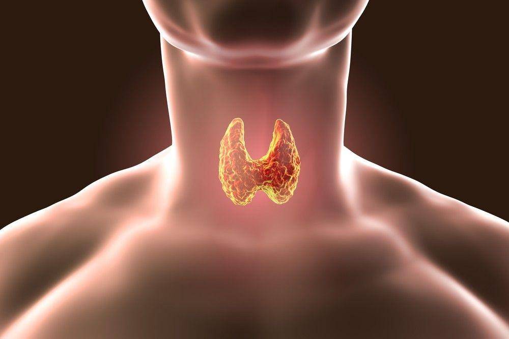 diabetesselfmanagement.com