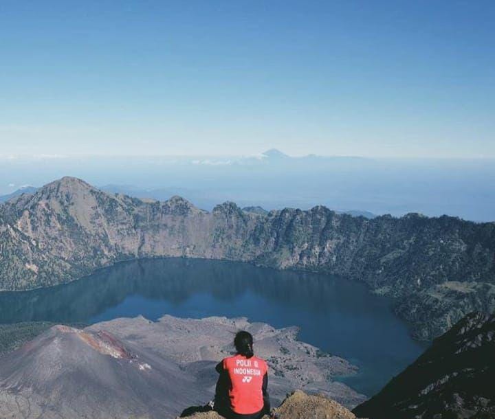 instagram.com/greyspolii