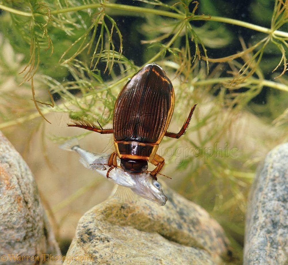 warrenphotographic.co.uk