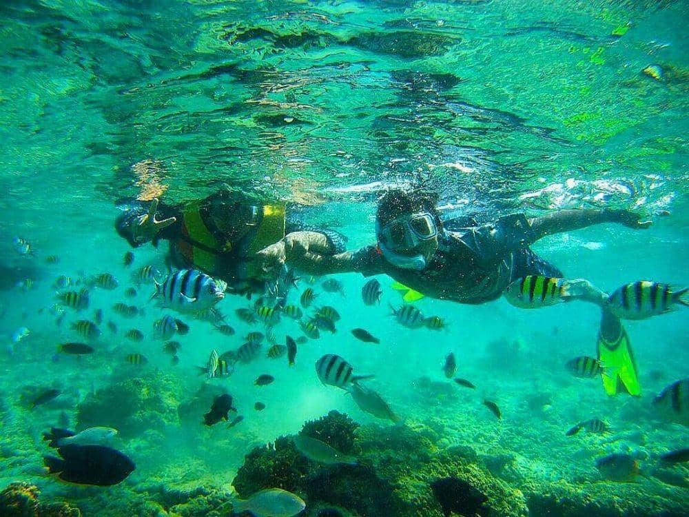 instagram.com/wildanwills/