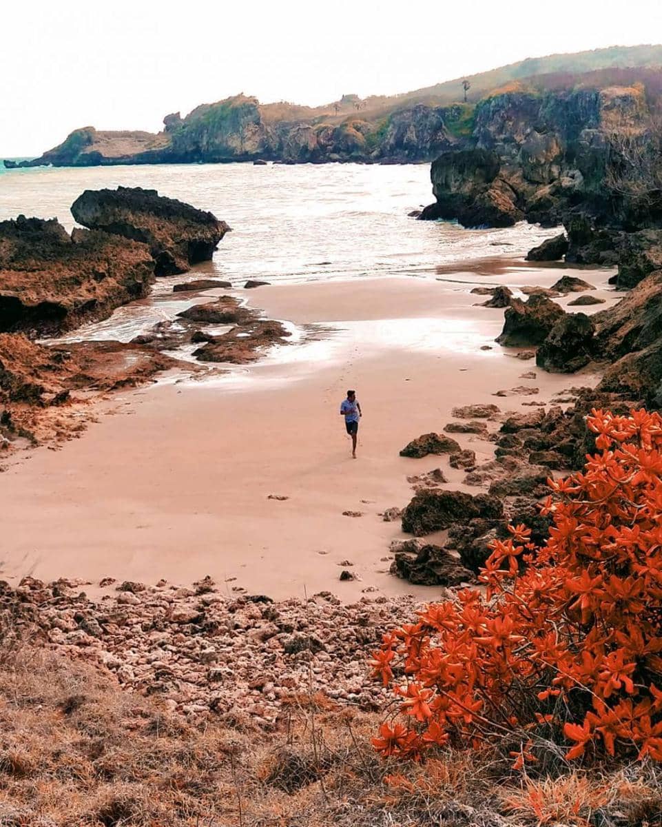 instagram.com/beta_ntt