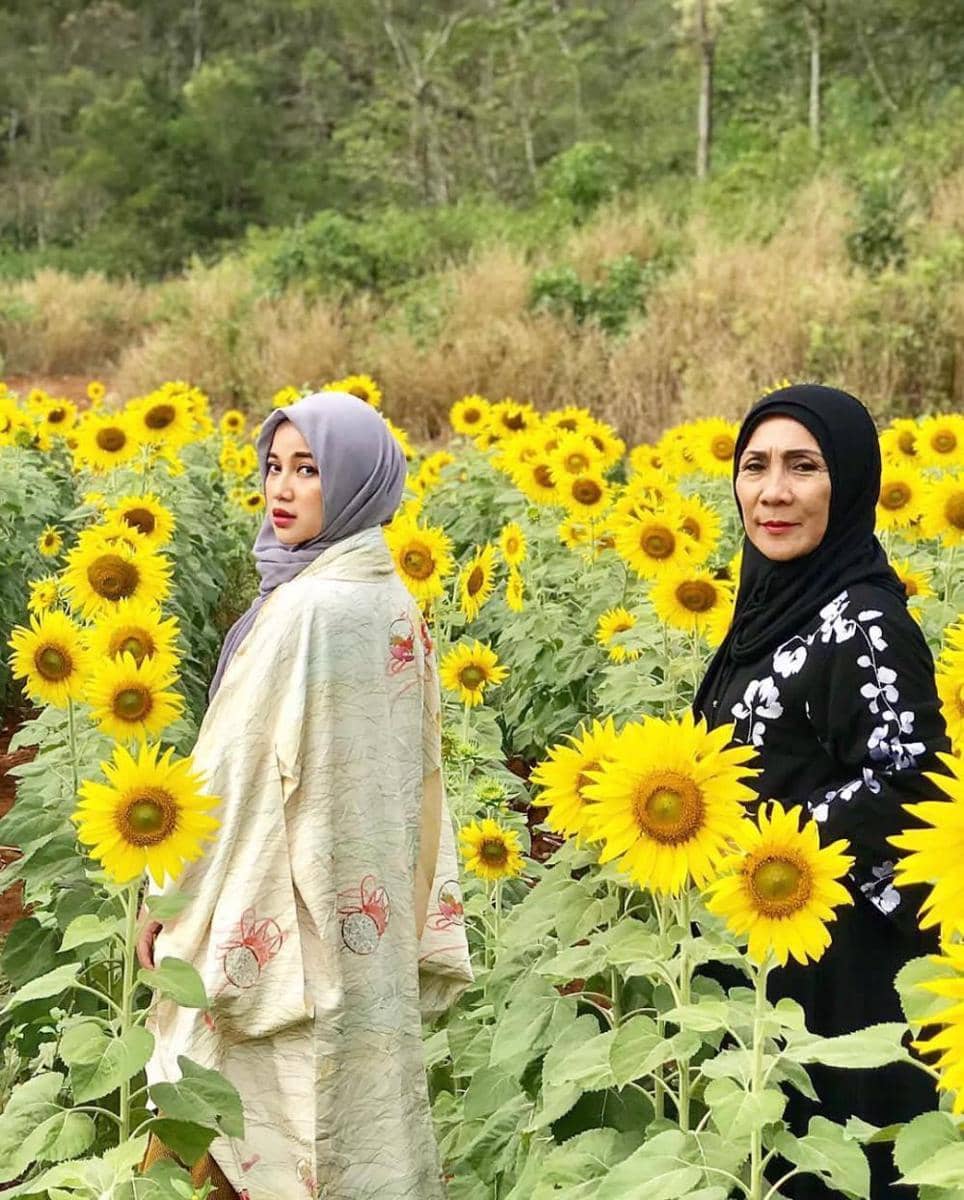 Instagram.com/chafrederica